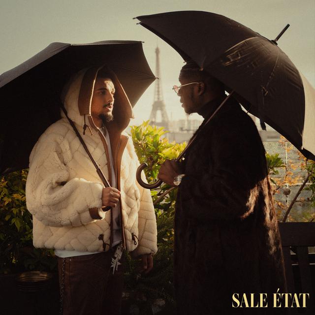 Album cover art for Sale état