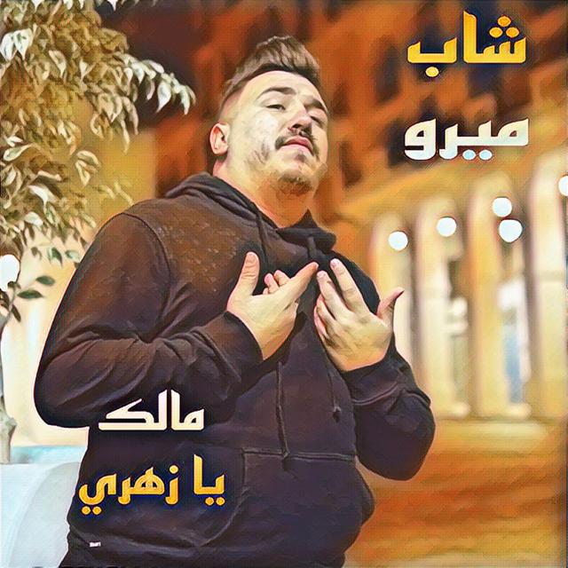 Album cover art for Malek Ya Zahri - Single