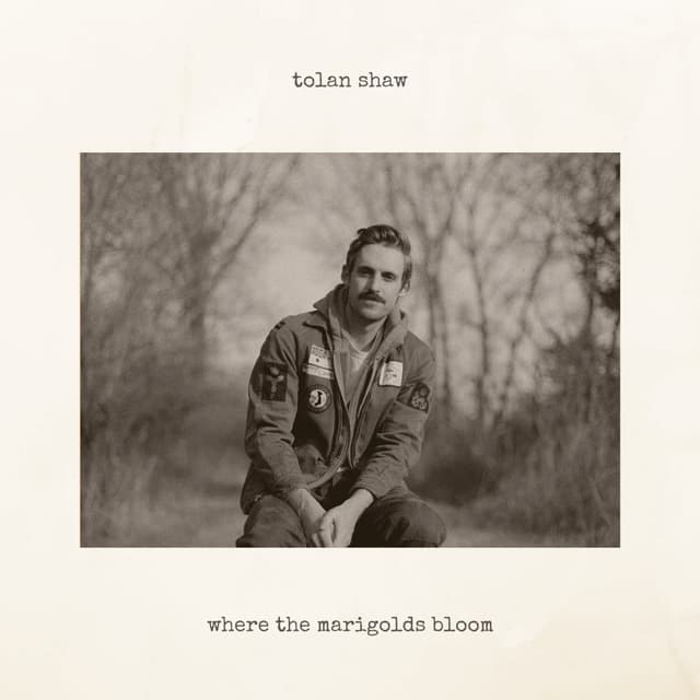 Album cover art for Where The Marigolds Bloom