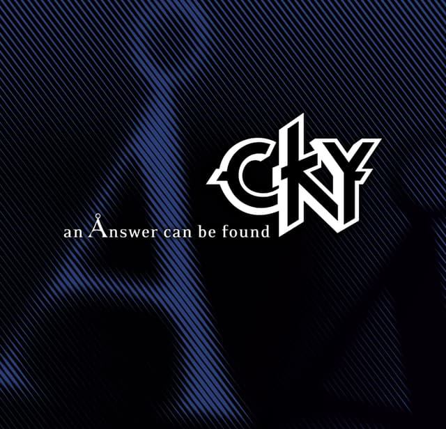 Album cover art for An Ånswer Can Be Found