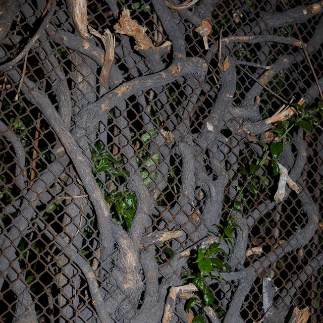 Album cover art for Se Parece A