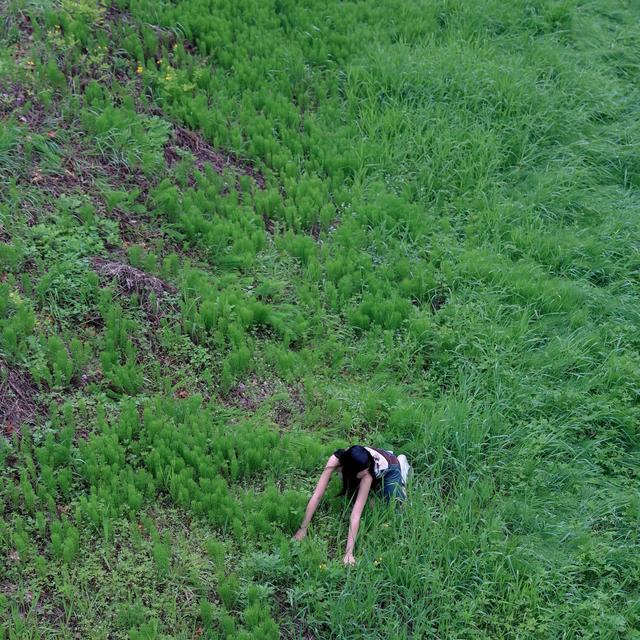 Album cover art for Hunting