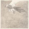 Album cover art for Lille Turteldue