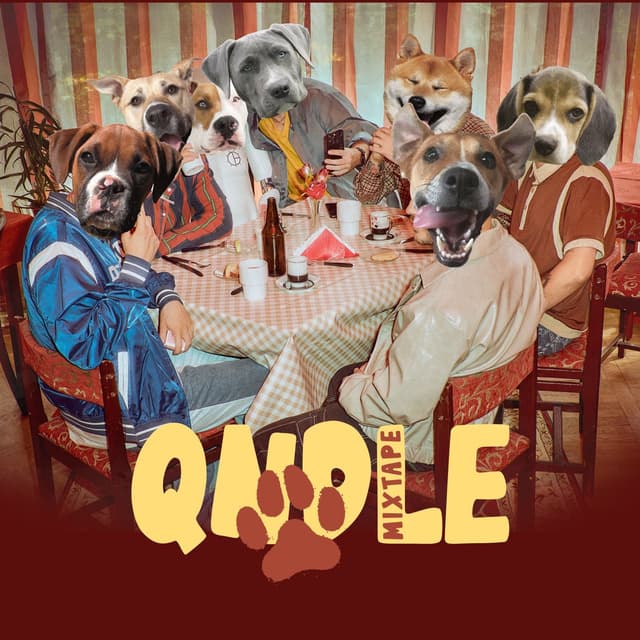 Album cover art for QNDLE