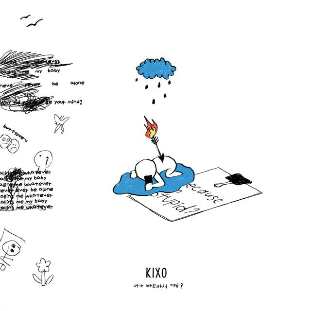 Album cover art for because I'm stupid?