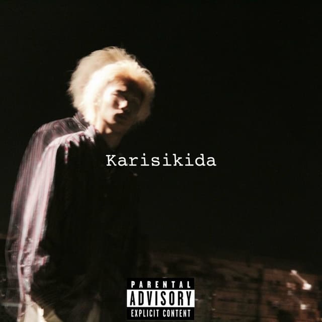 Album cover art for Karisikida