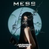 Album cover art for MESS