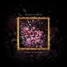 Broken Flower
