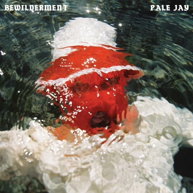 Album cover art for Bewilderment
