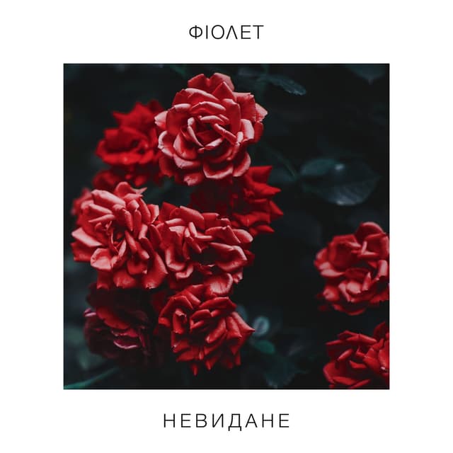 Album cover art for Невидане