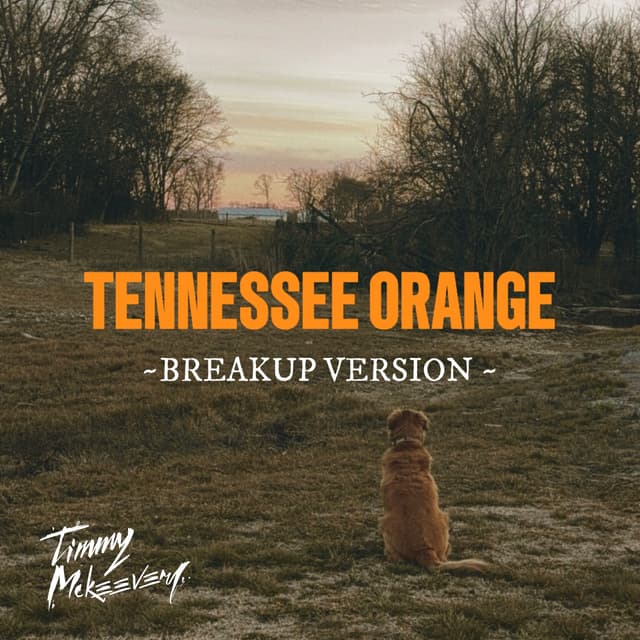 Album cover art for Tennessee Orange