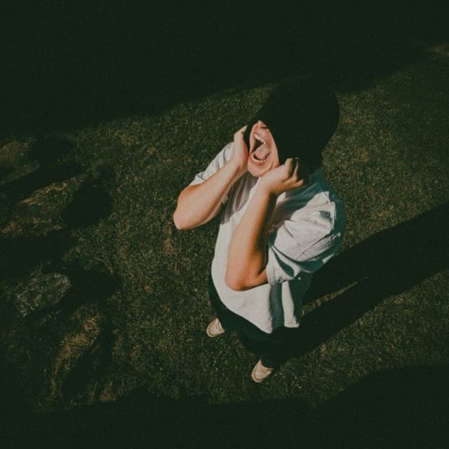 Album cover art for Ensom
