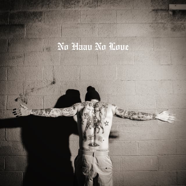 Album cover art for No Haav No Love