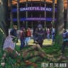 Terrapin Station