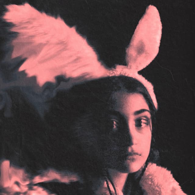 Album cover art for Polución