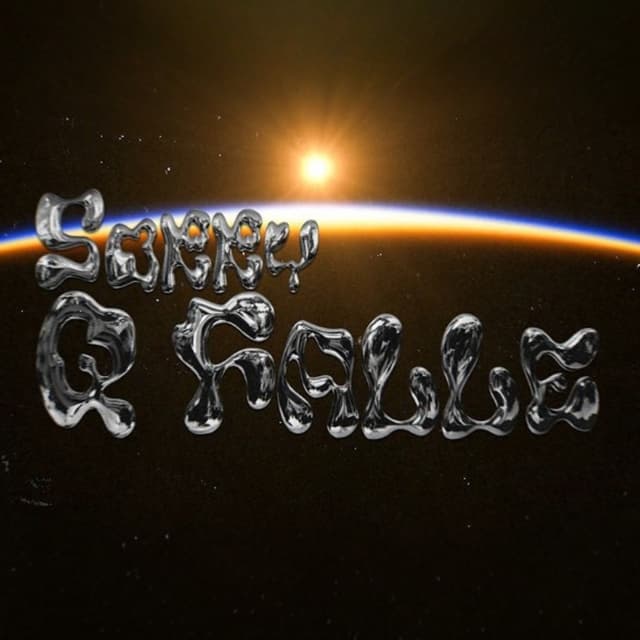 Album cover art for Sorry Q Falle