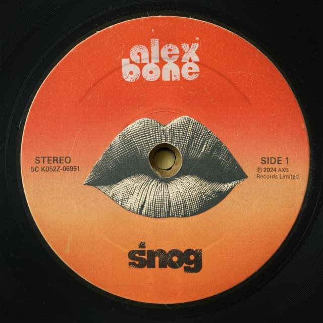 Album cover art for Snog
