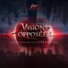 Visions opposées (Visions opposees)