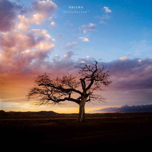Album cover art for Dissolution