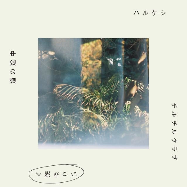 Album cover art for いつか渚へ