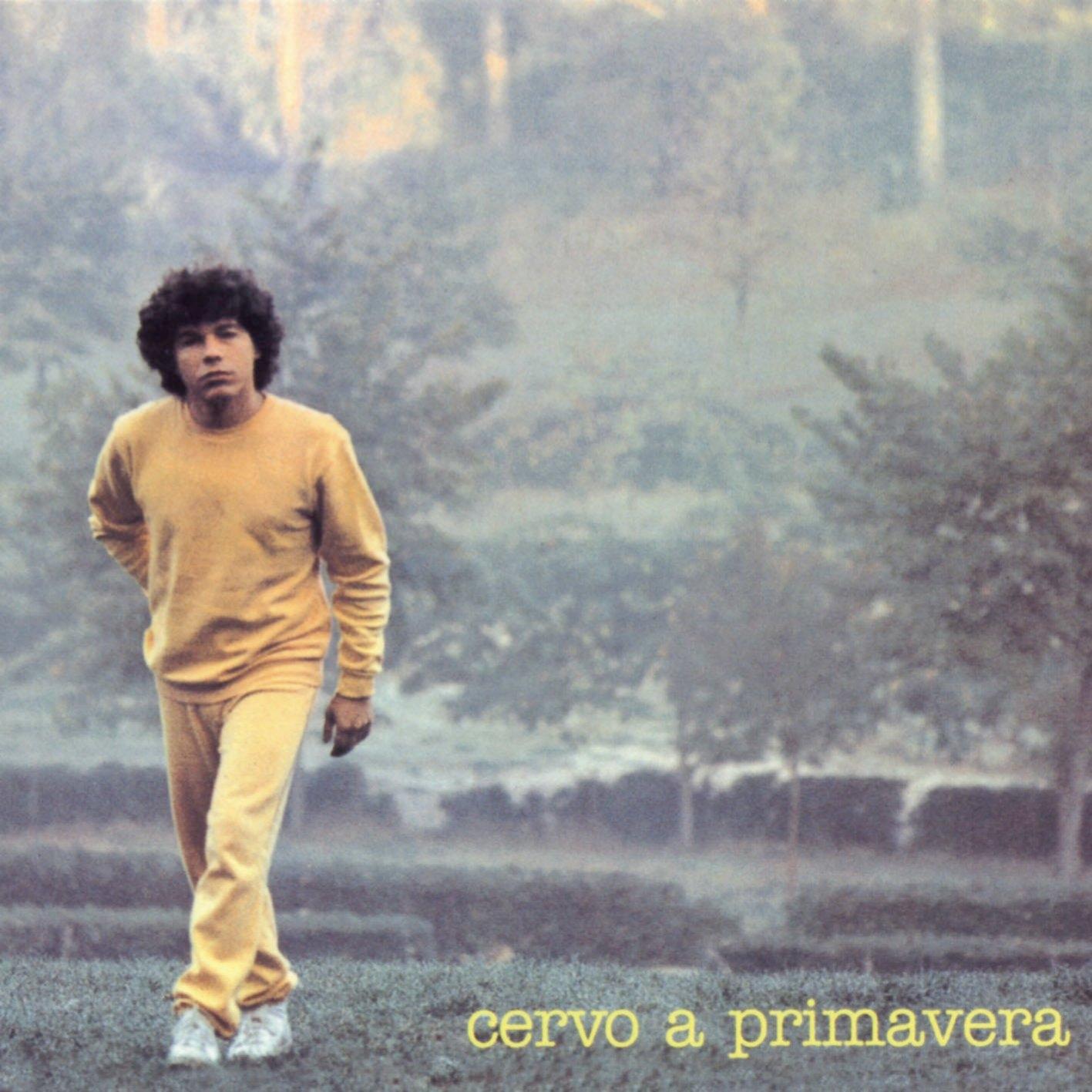 Cervo a Primavera