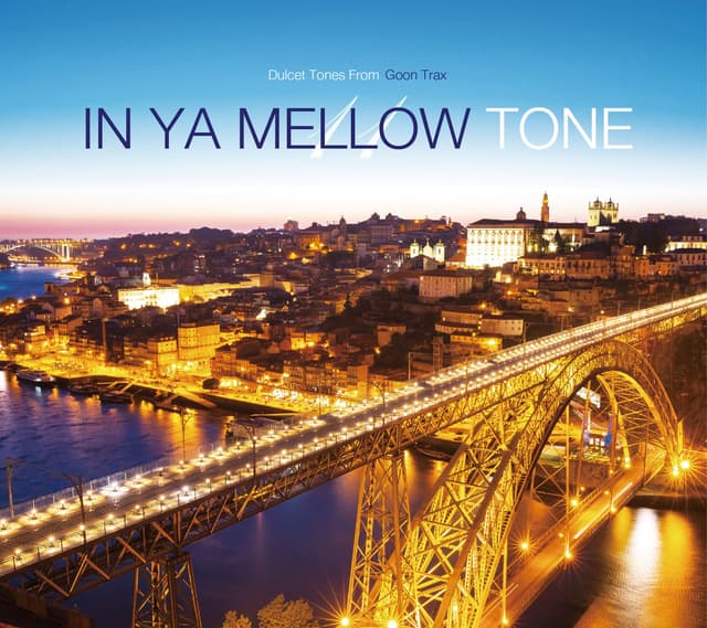 Album cover art for IN YA MELLOW TONE 11