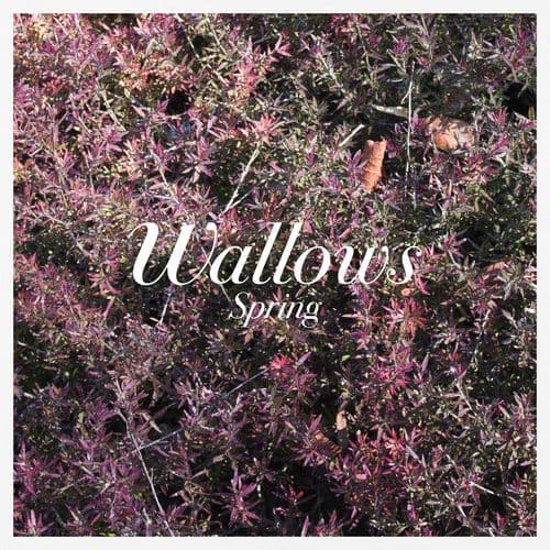 Album cover art for Spring