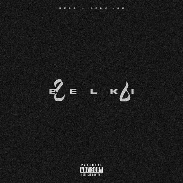 Album cover art for BELKİ26