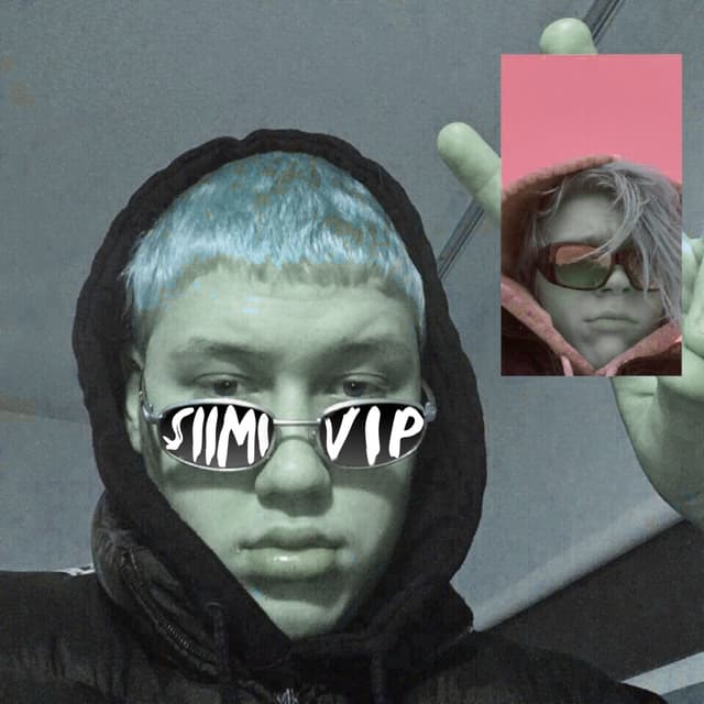Album cover art for Tibulinnu (Siimi VIP Remix)