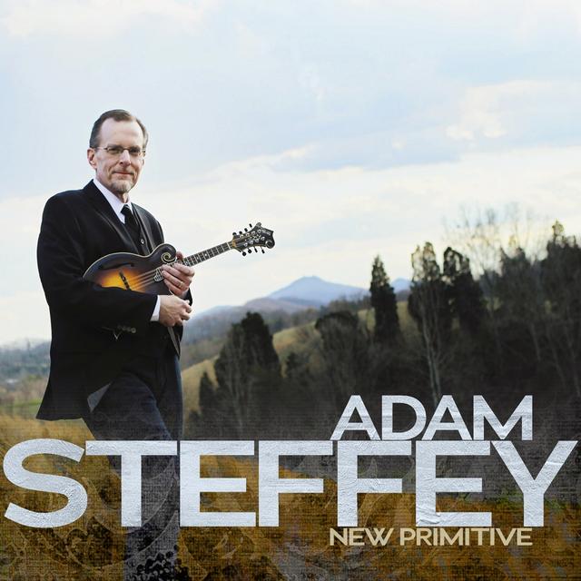 Album cover art for New Primitive