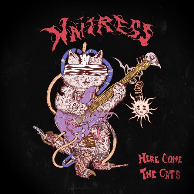 Album cover art for Here Come The Cats - Single