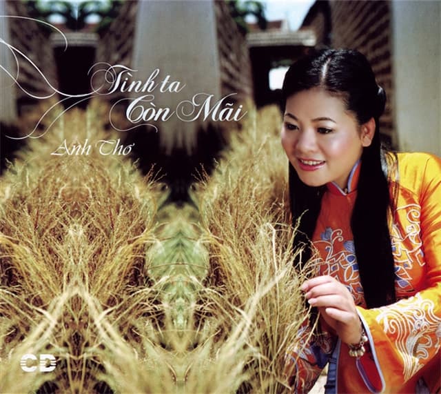 Album cover art for Tình ta còn mãi