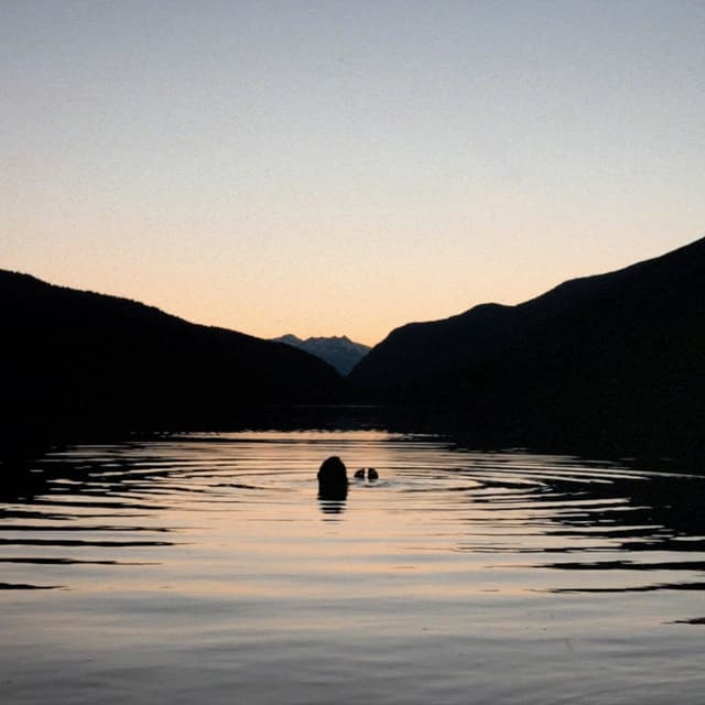 Album cover art for Gone (Away)