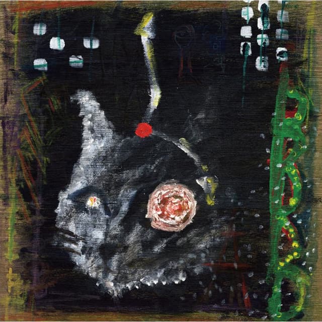Album cover art for The Light