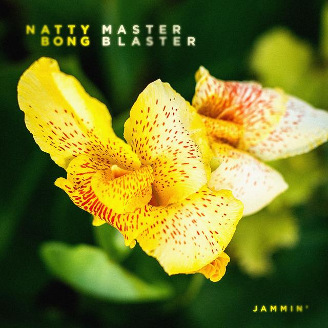 Album cover art for Master Blaster (Jammin')