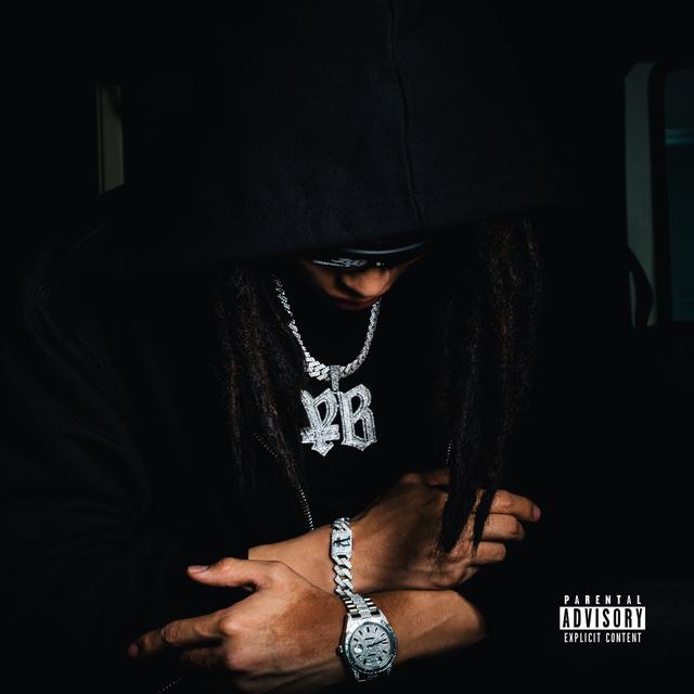 Album cover art for Survive