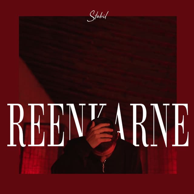 Album cover art for Reenkarne