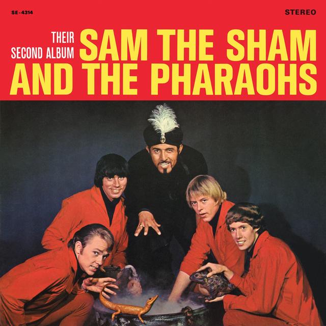 Album cover art for Their Second Album