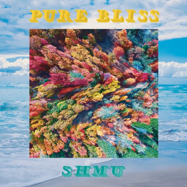 Album cover art for Pure Bliss