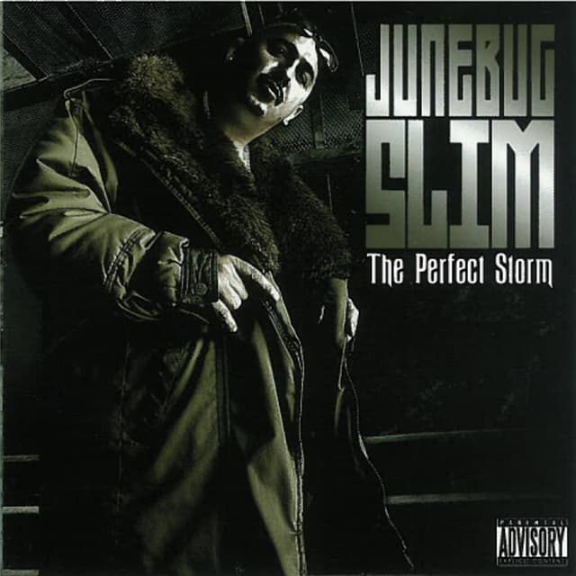 Album cover art for The Perfect Storm