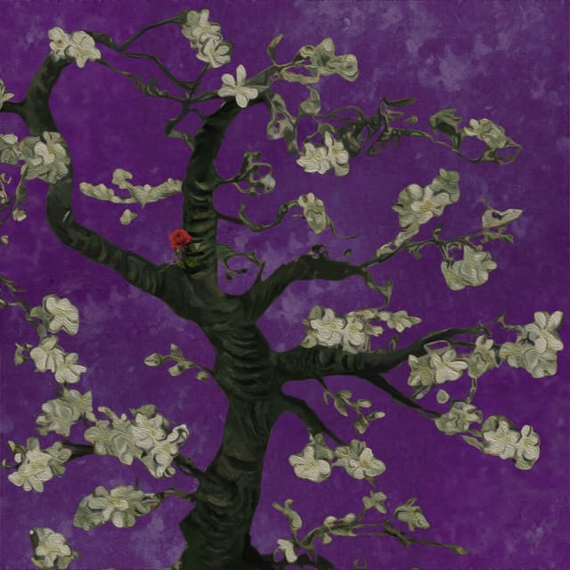 Album cover art for Juliet