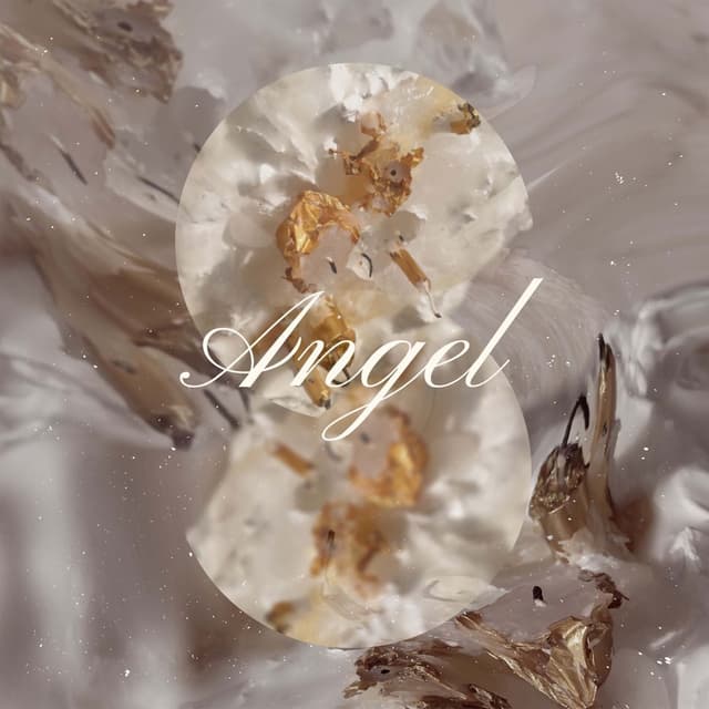 Album cover art for Angel