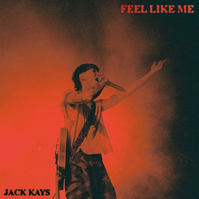 Album cover art for Feel Like Me