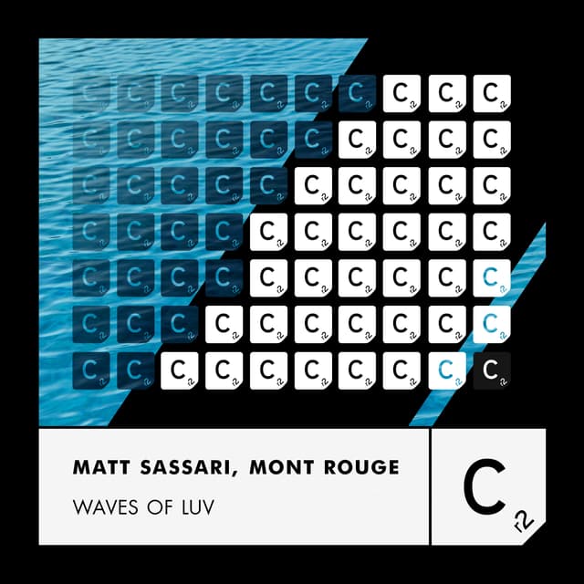 Album cover art for Waves of Luv