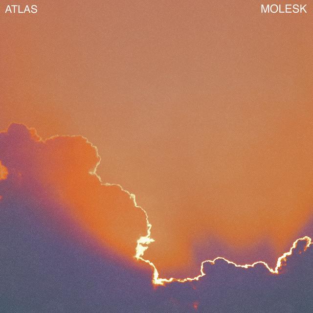 Album cover art for Molesk