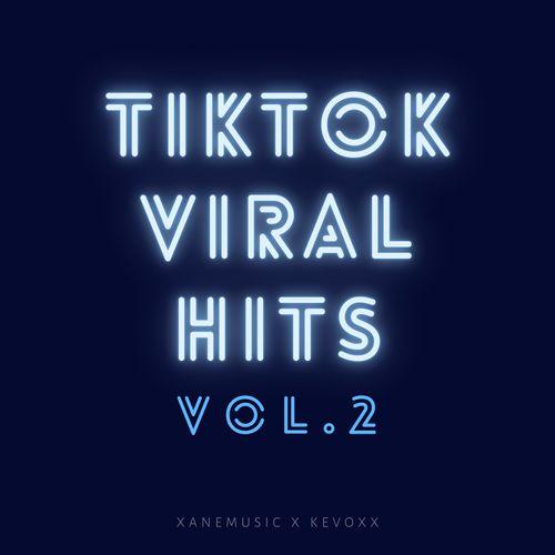 Album cover art for TikTok Viral Hits Vol. 2