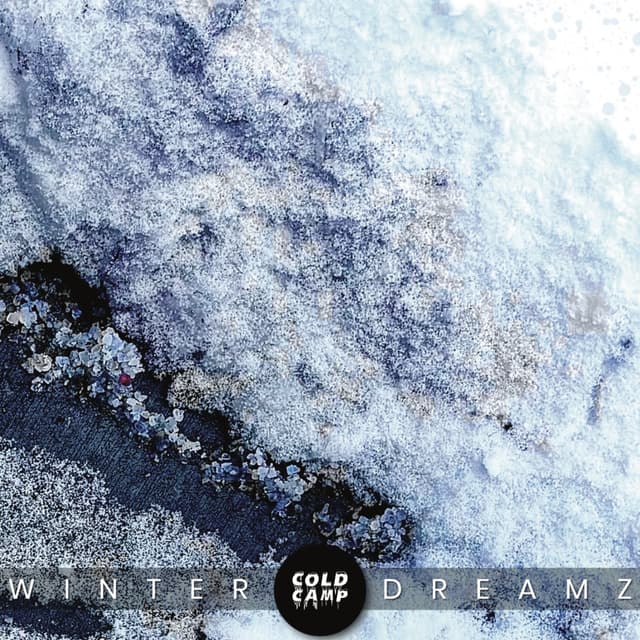 Album cover art for Winter Dreamz
