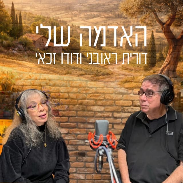 Album cover art for האדמה שלי