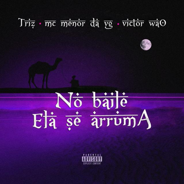 Album cover art for No Baile Ela Se Arruma