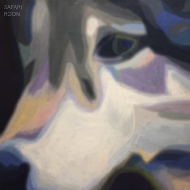 Album cover art for Safari Room